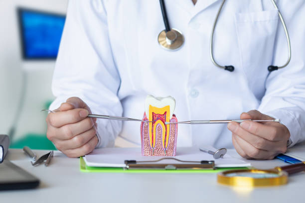 Best Chipped Tooth Repair Near Me  in Riesel, TX